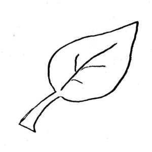 pumpkin leaf template printable pumpkin leaf template printable