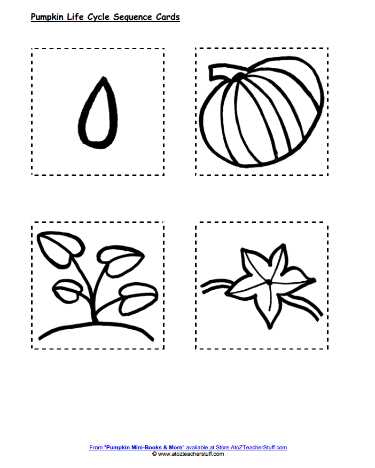 pumpkin life cycle printable pumpkin life cycle printable