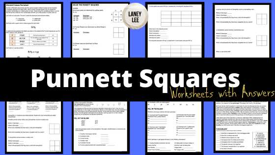 punnett square printable punnett square printable