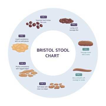 printable printable bristol stool chart