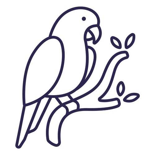 parrot outline printable parrot outline printable