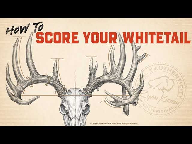 printable whitetail score sheet printable whitetail score sheet