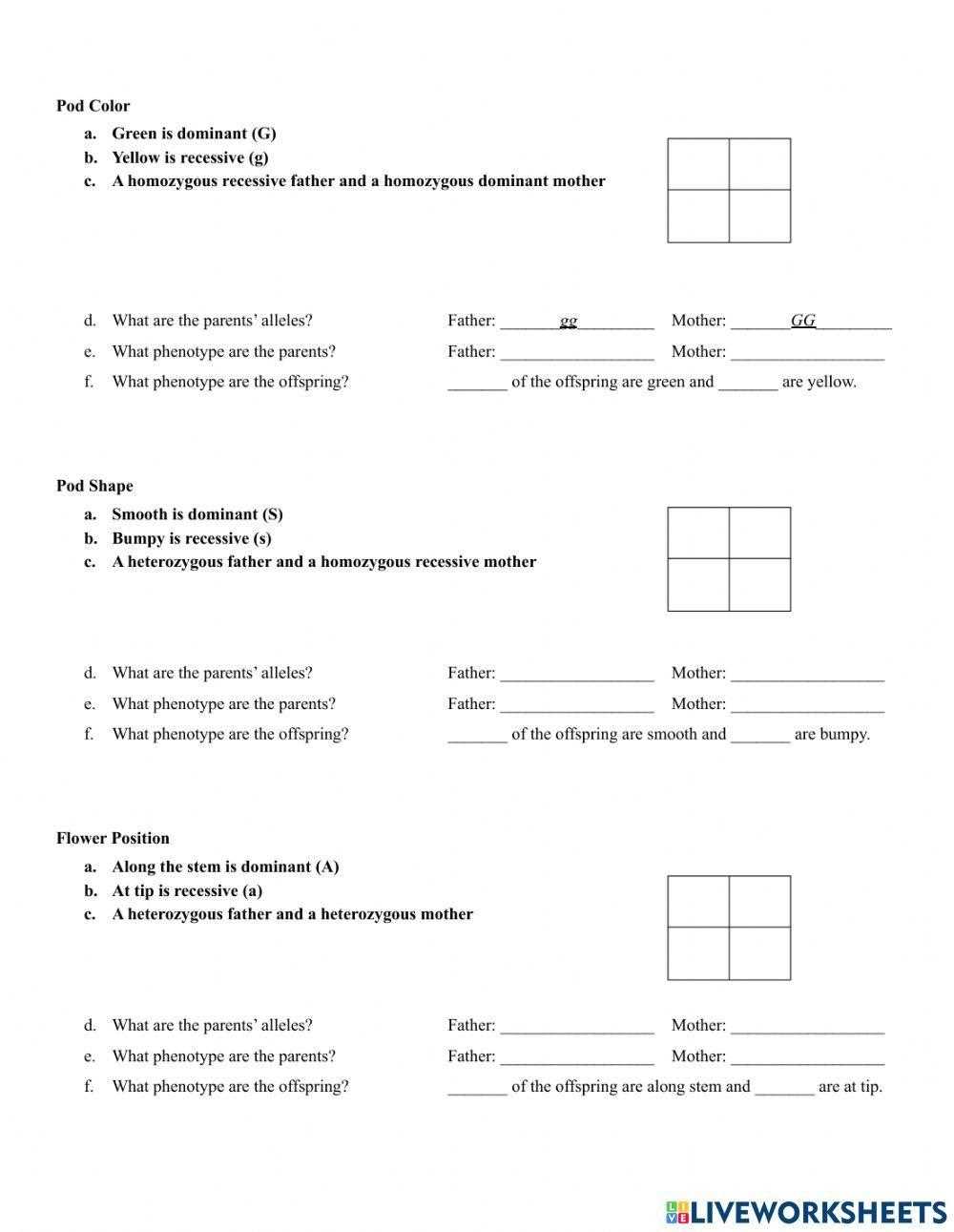 punnett square printable punnett square printable