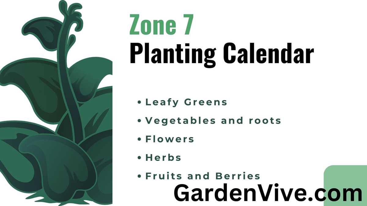 printable zone 7 planting schedule