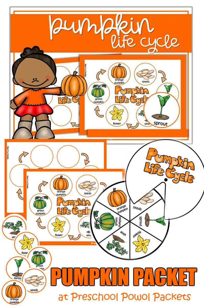 free pumpkin life cycle printable free pumpkin life cycle printable