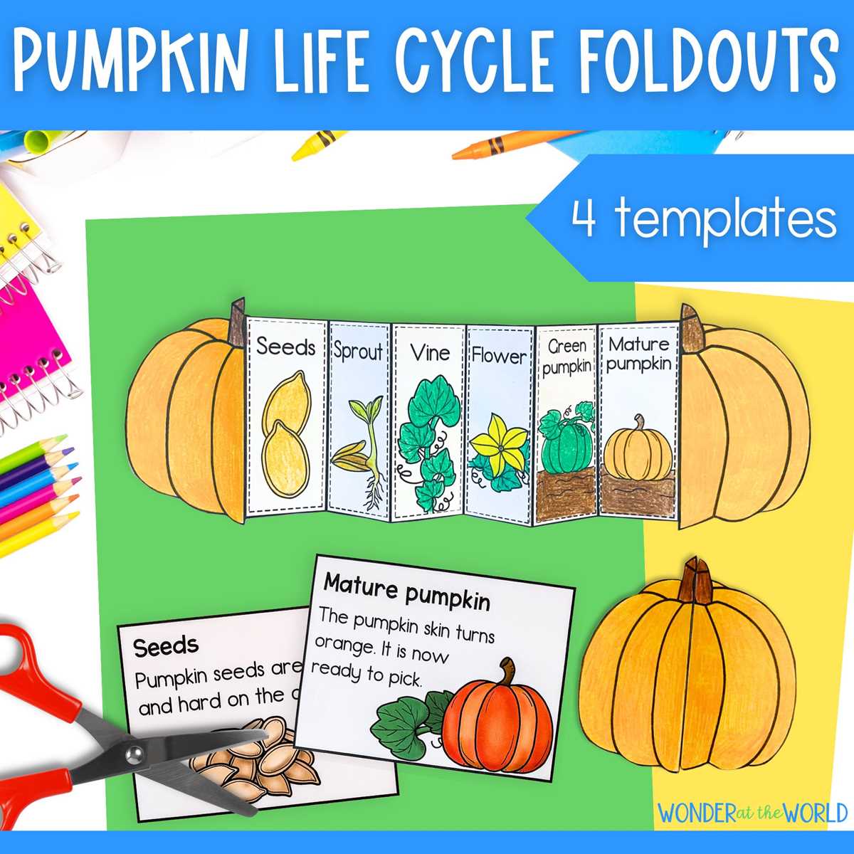 pumpkin life cycle printable pumpkin life cycle printable