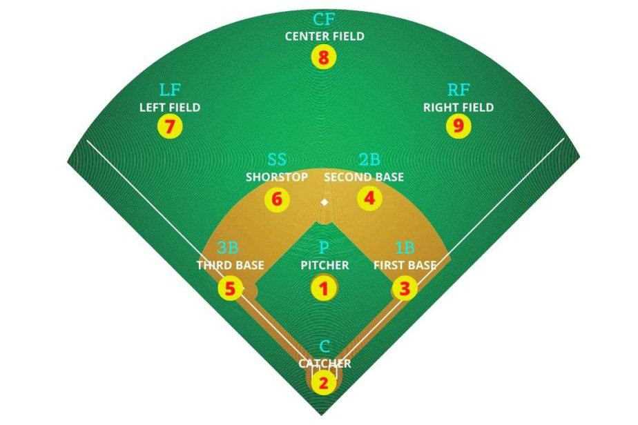 printable softball field positions printable softball field positions