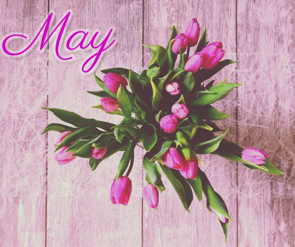 may flowers printable may flowers printable