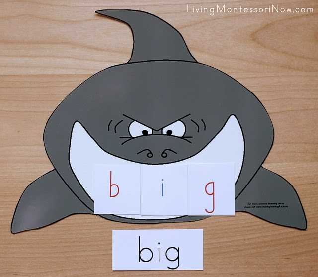 build a shark printable build a shark printable