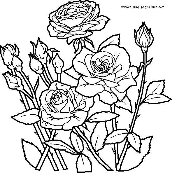 rose coloring pages printable rose coloring pages printable
