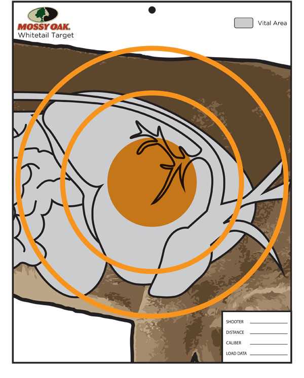 shooting targets paper printable shooting targets paper printable
