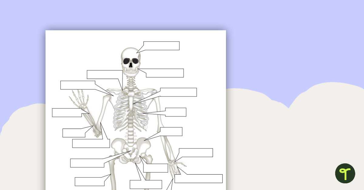 skeleton bone printable skeleton bone printable