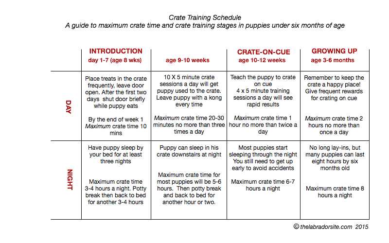 printable puppy training schedule week by week printable puppy training schedule week by week