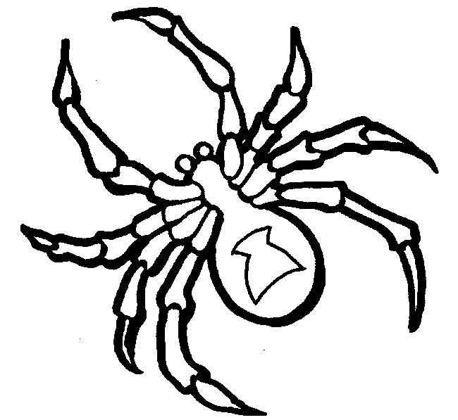 spider template printable spider template printable