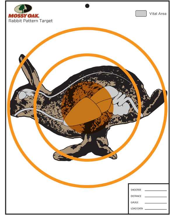 squirrel targets printable