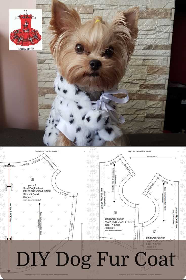 template easy free printable dog clothes patterns