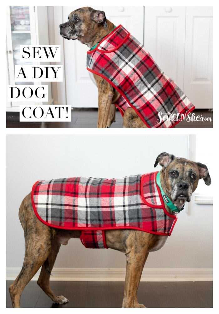 template easy free printable dog clothes patterns