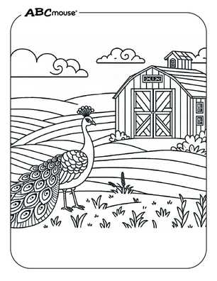 coloring pages peacock printable