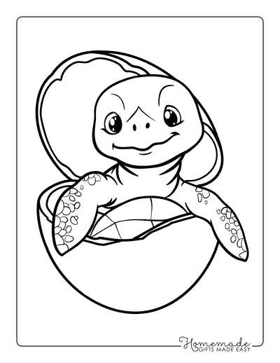 turtle coloring pages printable free turtle coloring pages printable free