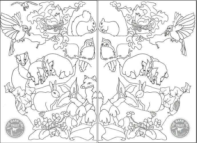 find the difference printable