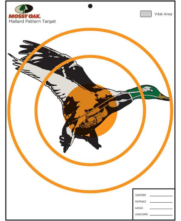 funny targets for shooting printable