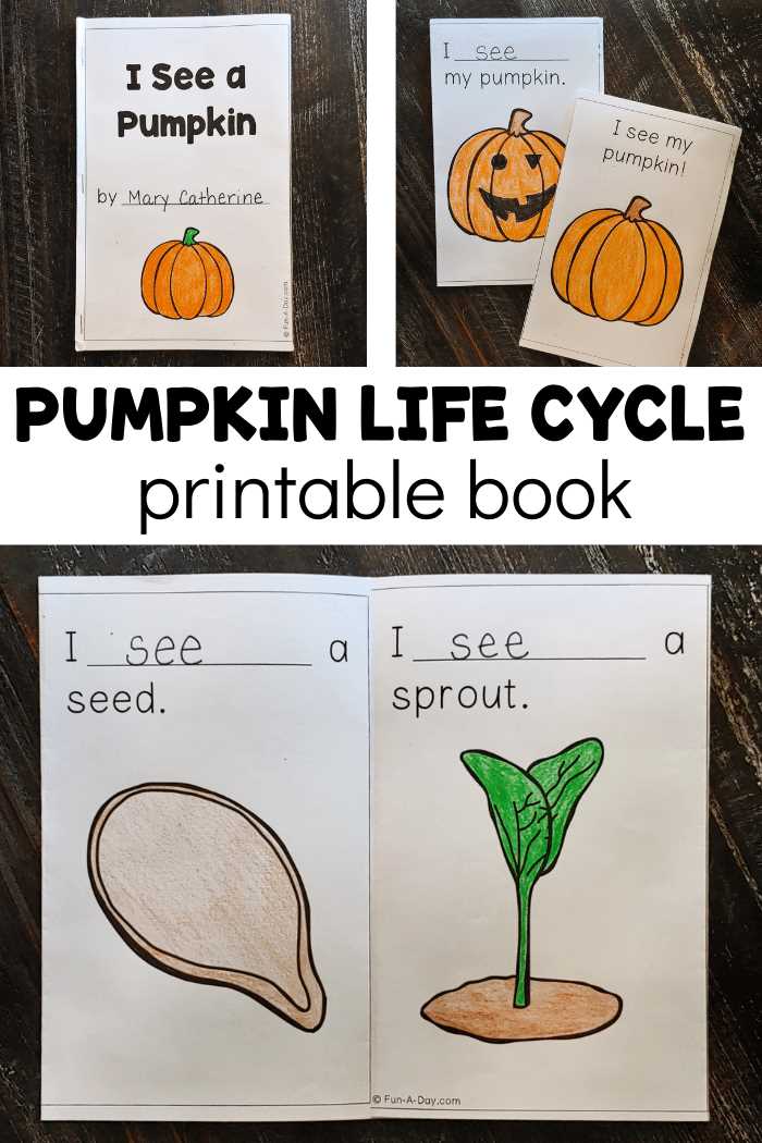 life cycle of a pumpkin printable free life cycle of a pumpkin printable free