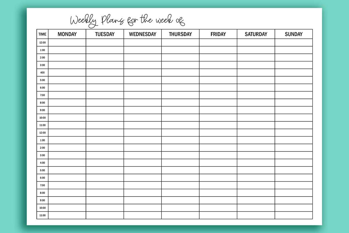 printable hour by hour schedule