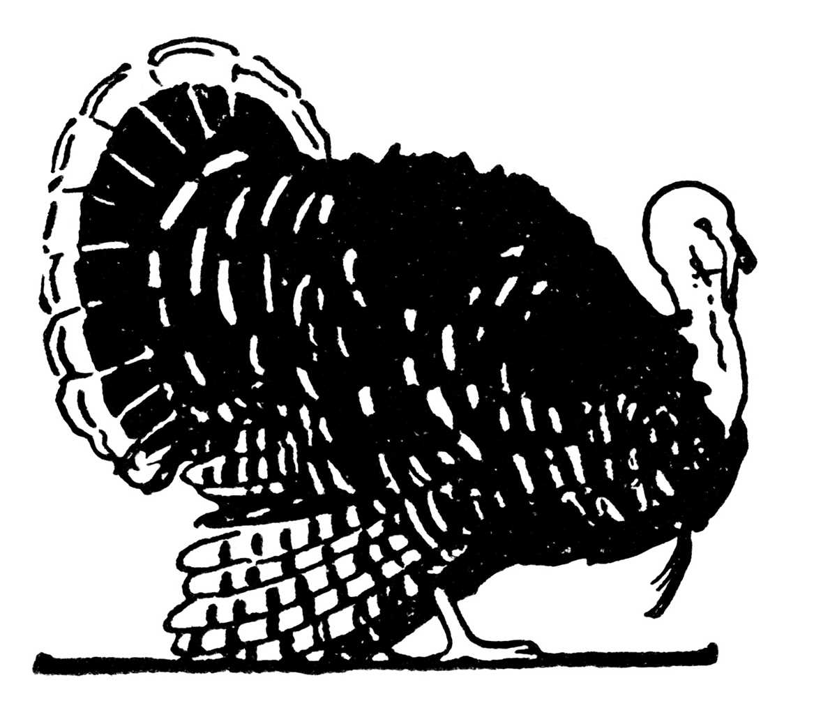 printable turkey clipart