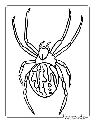 free printable spider free printable spider