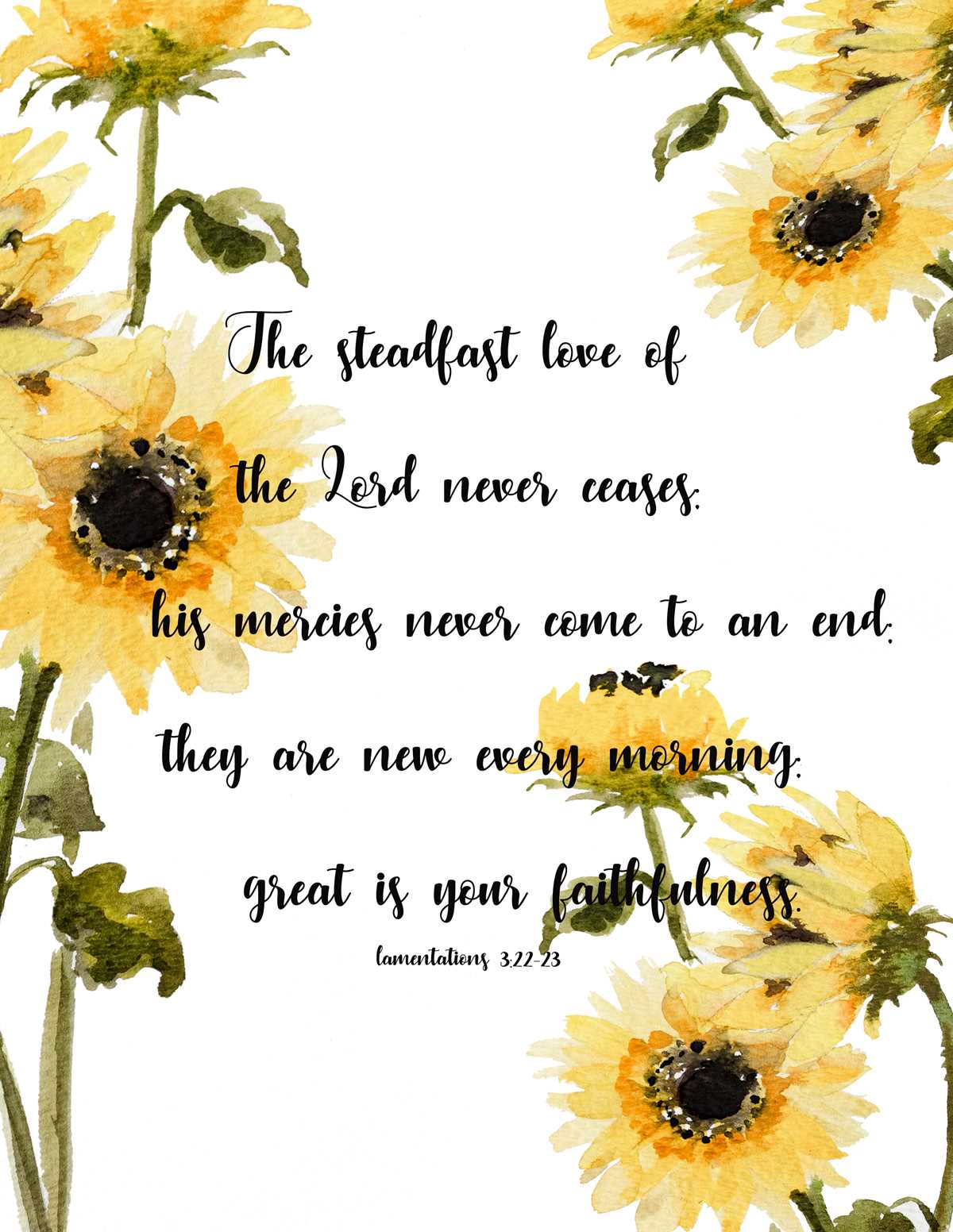 printable sunflower pictures printable sunflower pictures