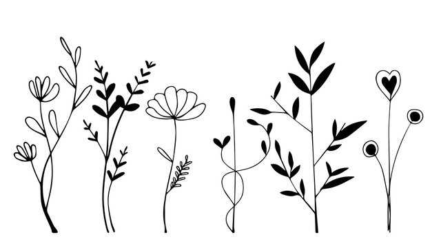 black and white flower printable