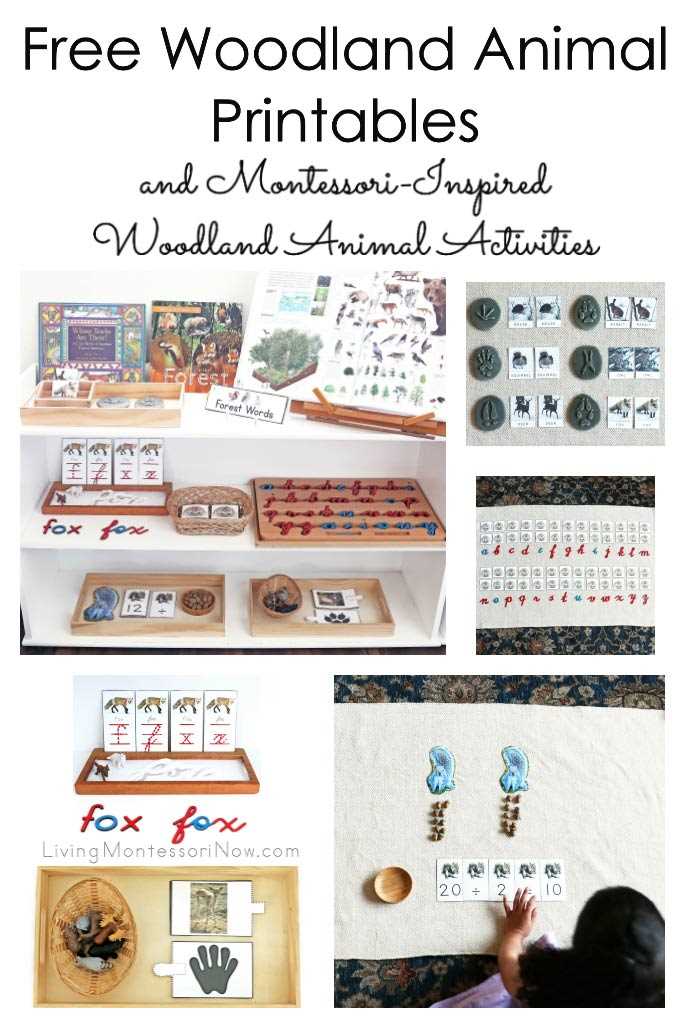 woodland creatures free printables woodland creatures free printables