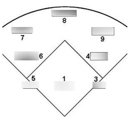 printable softball field positions printable softball field positions