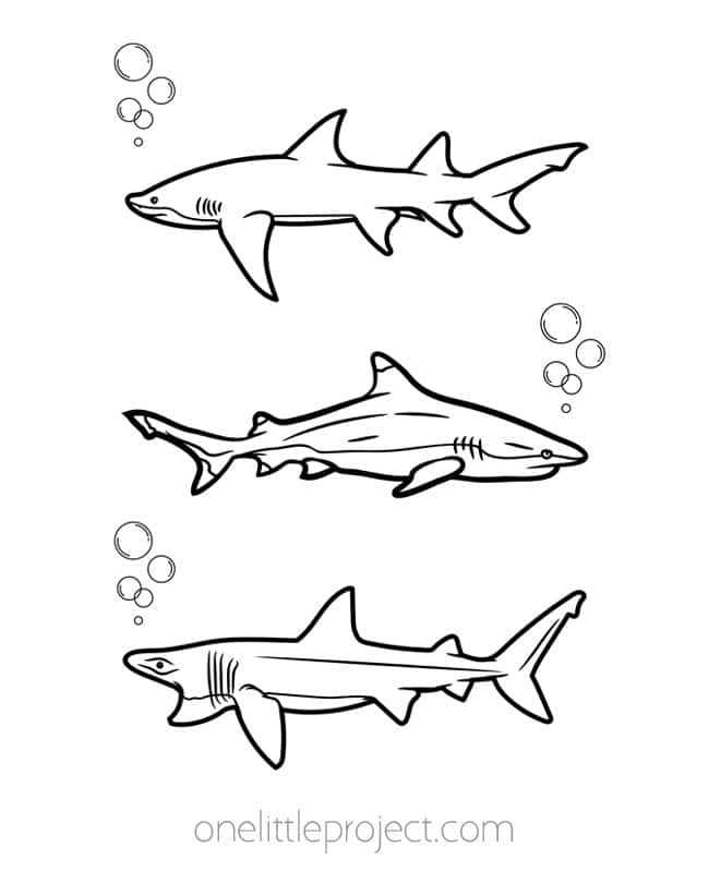printable coloring pages shark