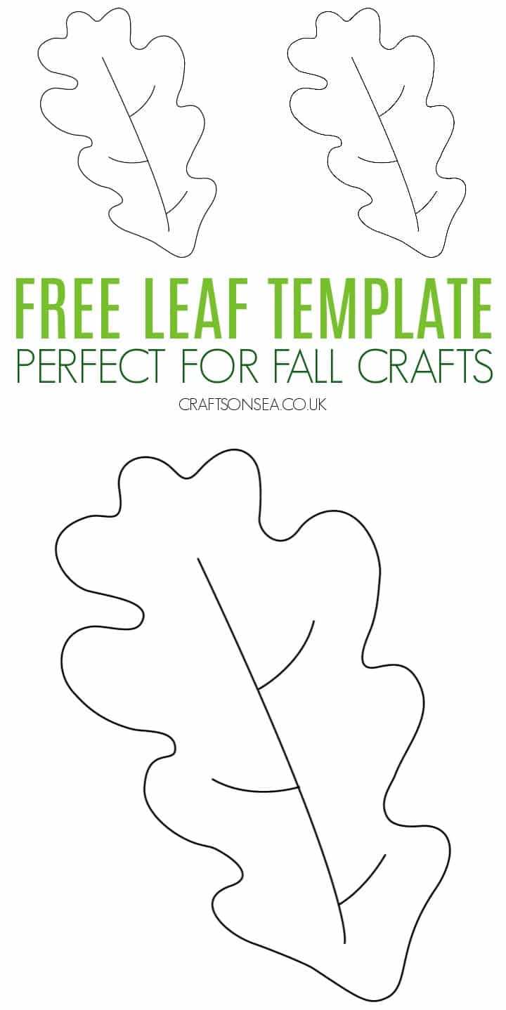 leaf picture printable leaf picture printable