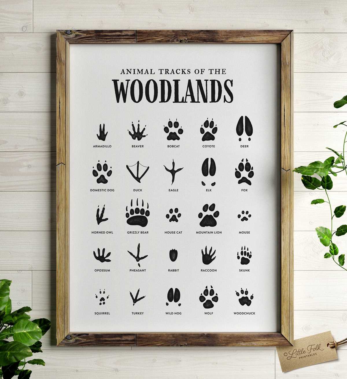 animal tracks printable animal tracks printable