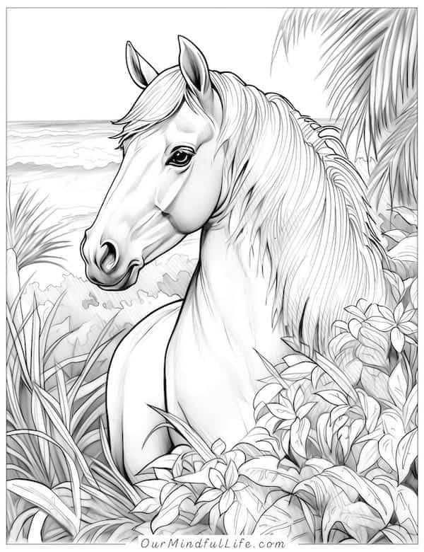 horse coloring books printable horse coloring books printable