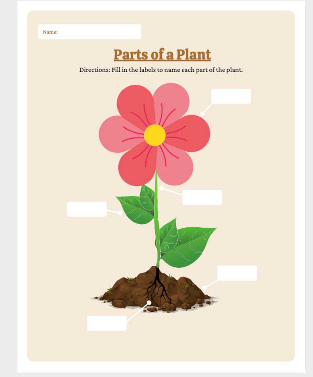 parts of a plant printable parts of a plant printable