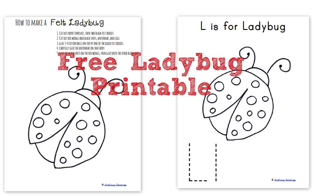 ladybug template free printable ladybug template free printable