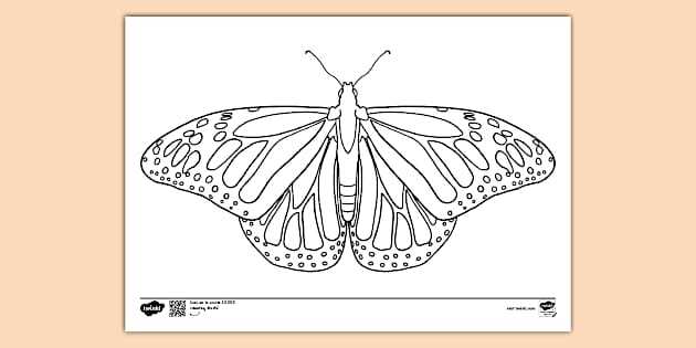 free printable butterfly color pages