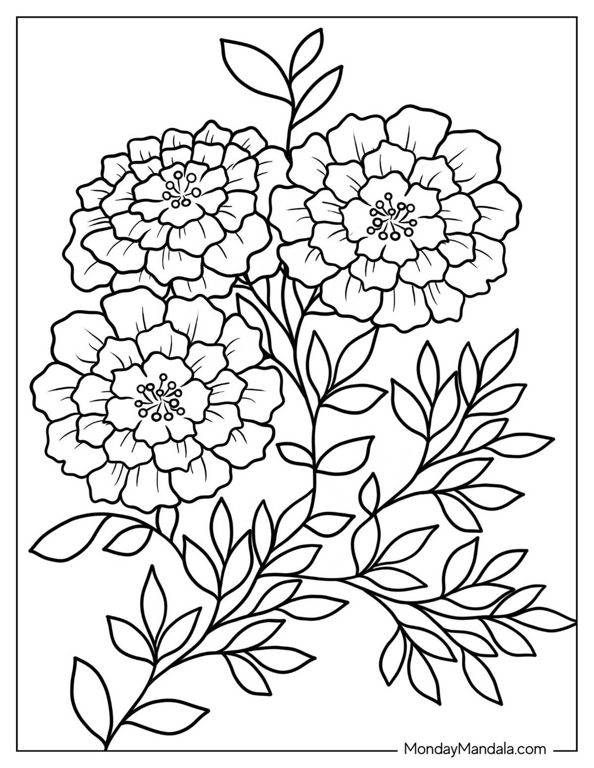 flower coloring sheets printable free flower coloring sheets printable free
