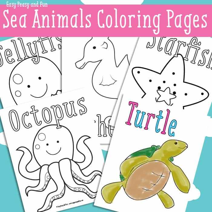 printable pictures of ocean animals printable pictures of ocean animals