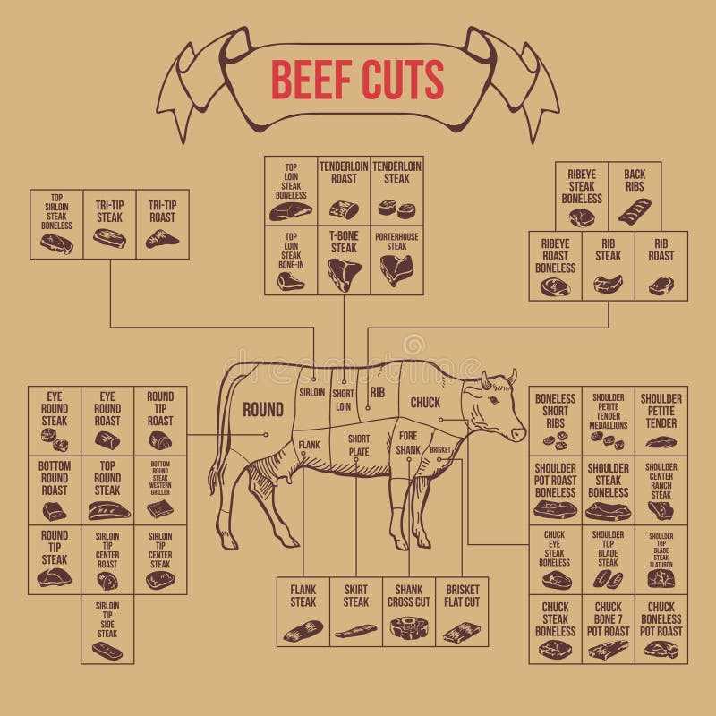 printable beef cut chart printable beef cut chart