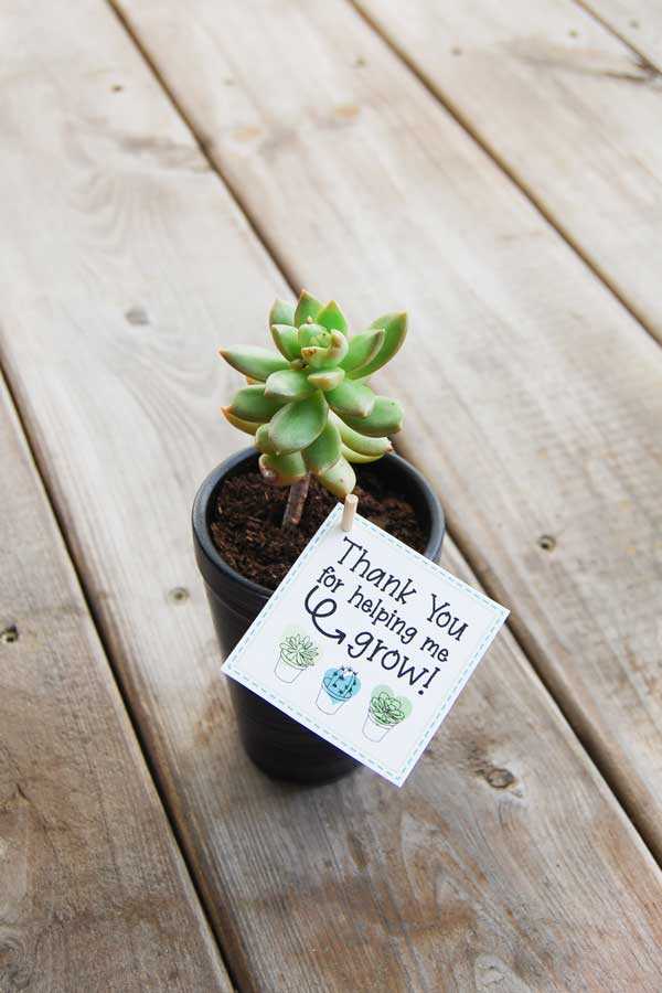 thank you for helping us grow printable thank you for helping us grow printable